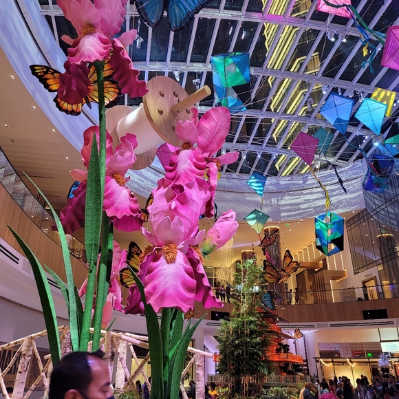 Meet Posher, JB  🧚‍♀️ Multiple Host Picks 🧚‍♂️ SHARE Fairies Live Here - Picture 14 of 15